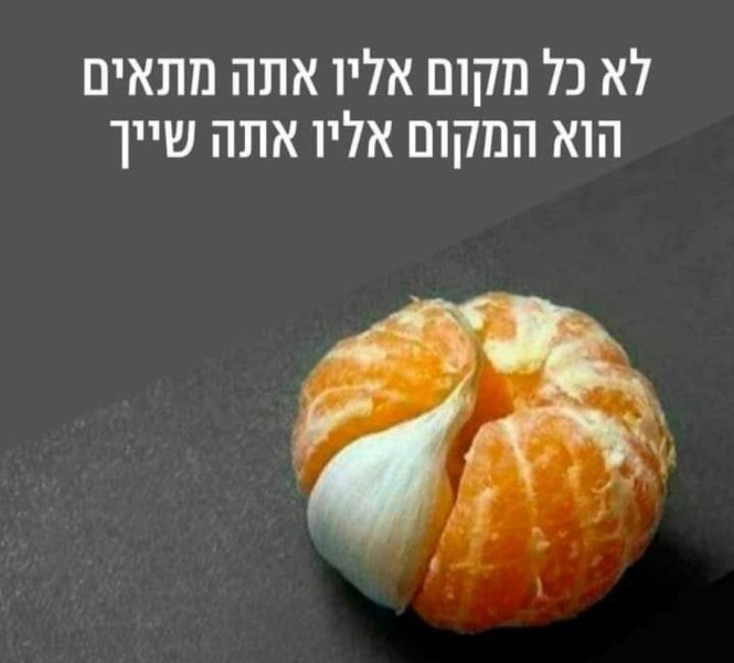 -שייכות.jpg