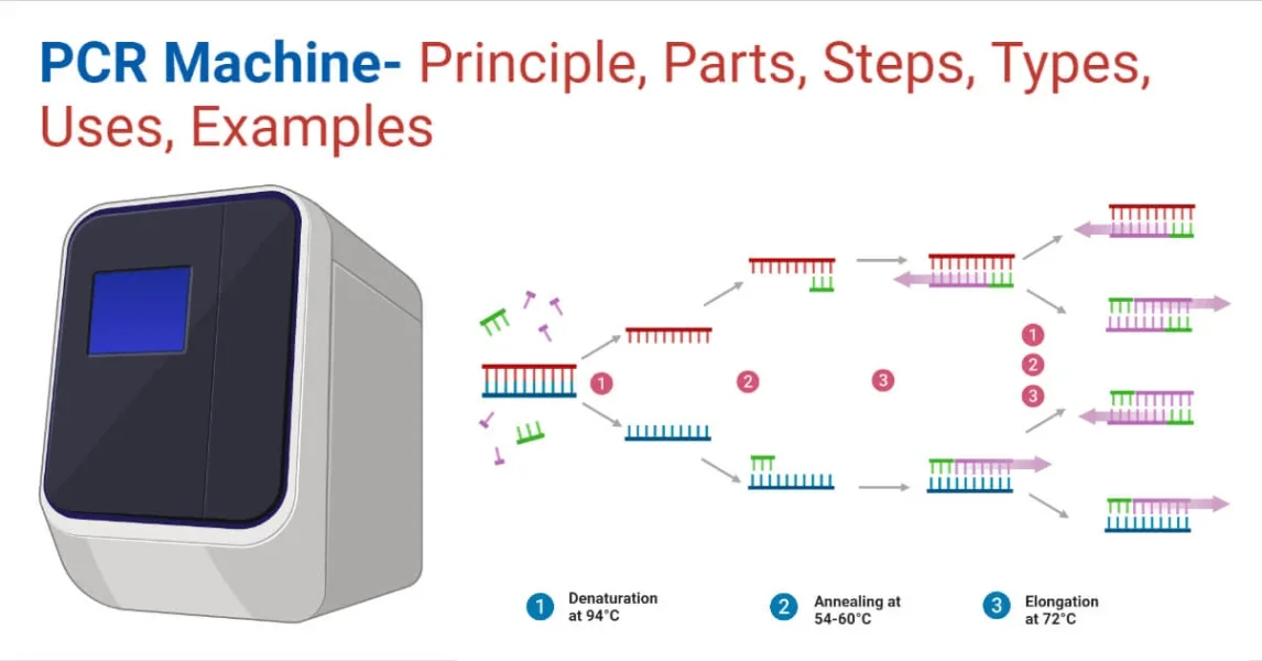 PCR-Machine.webp