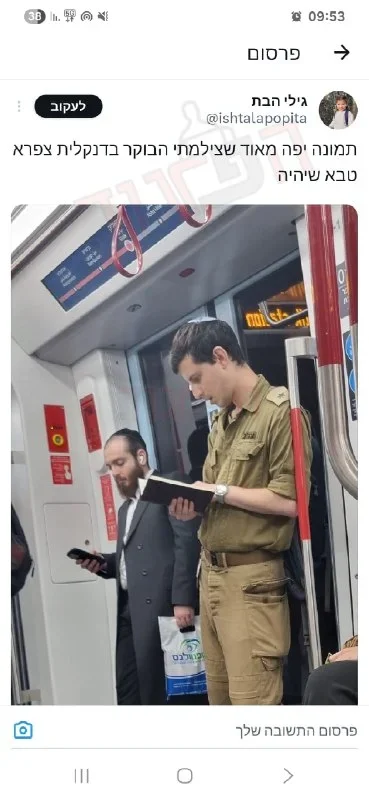 הפרגוד תמונה_21320.webp